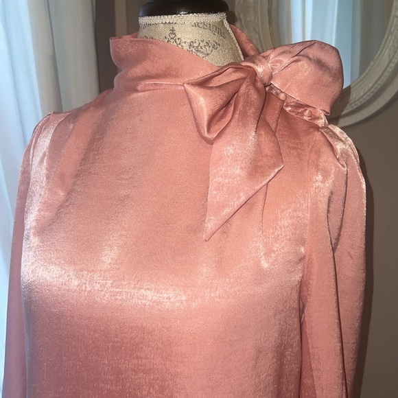 Worthington Petite XS pink women’s blouse with ribbon 🎀 tie bow button shirt XS - Picture 3 of 13